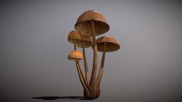 Realistic Mushroom - 01 mushroom, realistic, nature, 8k, 3d, lowpoly