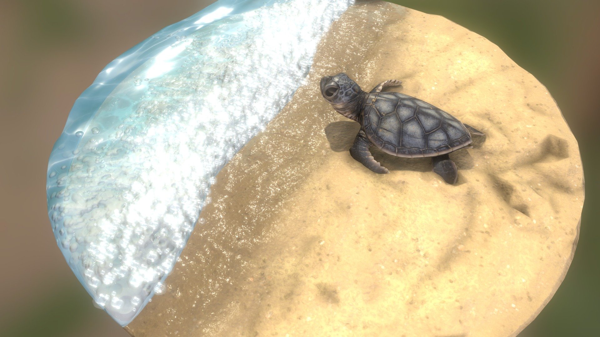 A diorama of a baby sea turtle almost hitting the surf on his way to the open sea.

Made in zbrush, 3ds max, substance painter