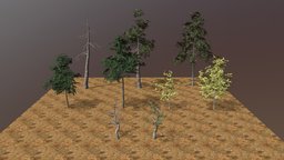 Mountain Trees trees, maple, pine, aspen, mountains, juniper, ponderosa