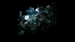 Low Poly Deep Sea Shipwreck #3 wheel, film, plants, organic, scanning, white, underwater, geology, shipwreck, deepsea, coral, cgi, deep, hydrant, nature, saltwater, erosion, atmosphere, vents, salt, houdini, hydrothermal, underwaterarchaeology, deepwater, deep-sea, ventspils, pools, realitycapture, texturing, photogrammetry, 3d, 3dsmax, blender, lowpoly, structure, 3dmodel, black, sea, brinepools, hydrothermalvents, whitesmoker, 3dmedling