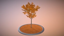Rowan Tree - Sorbus-Aucuparia - 4m - Autumn tree, baum, blatt, game-ready, autumn, rowan, leave, herbst, vis-all-3d, eberesche, leaf-tree, 3dhaupt, software-service-john-gmbh, sorbus, aucuparia, rowan-tree-sorbus-aucuparia-4m, low-poly, lowpoly, blender3d