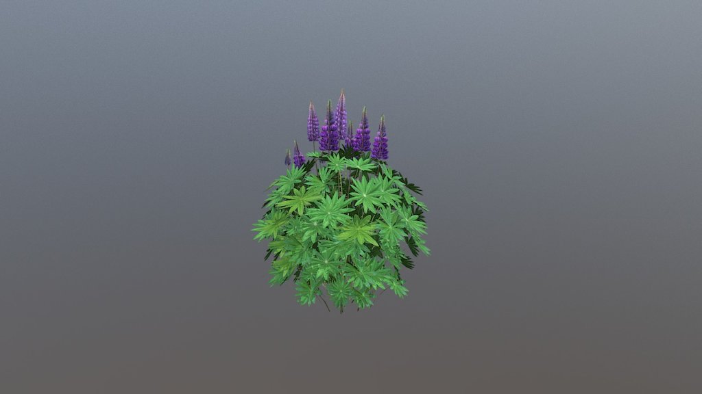 A low poly Lupine plant