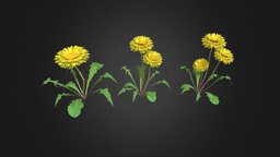 Dandelion Blossom Flower (game ready asset) rpg, flower, medieval, unreal, flowers, game-ready, dandelion, blossons, unity, game, pbr, gameasset, fantasy, dandelions, pixel-life, dandelion-flower