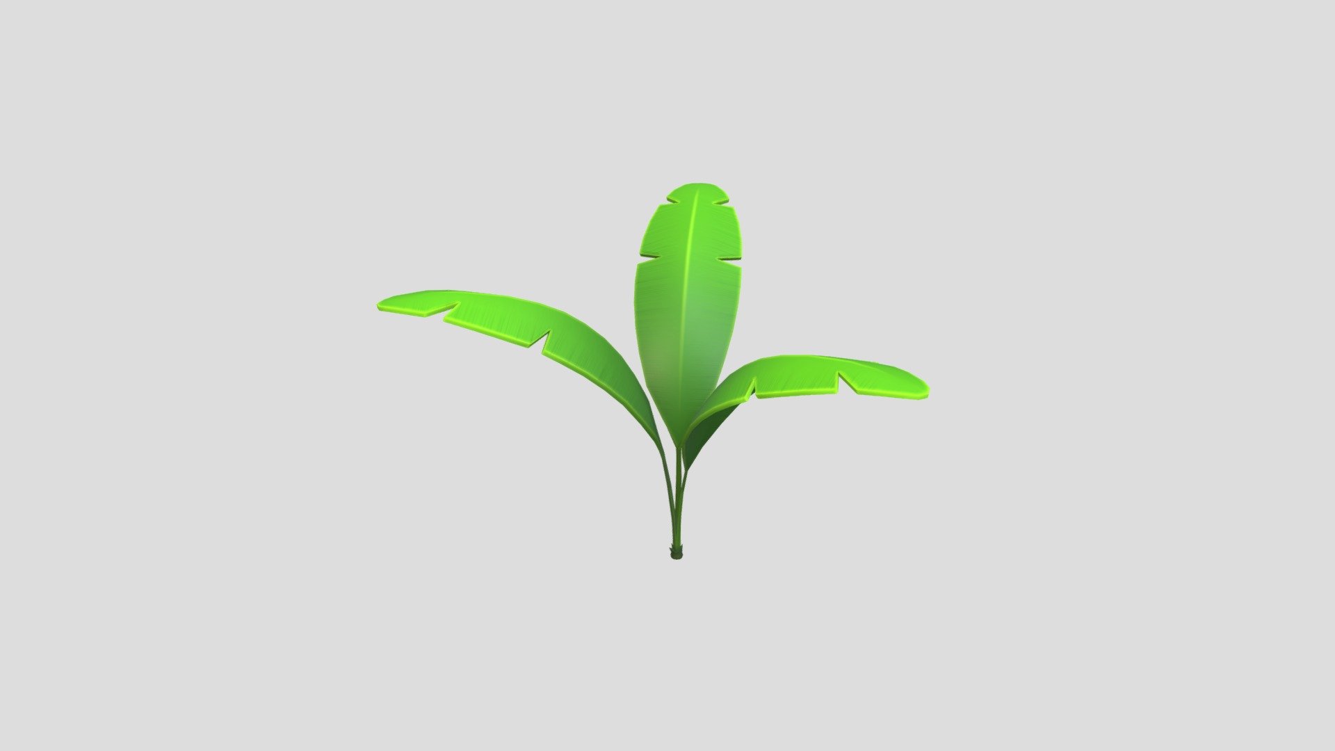 Banana Plant 3d model.      
    


File Format      
 
- 3ds max 2021  
 
- FBX  
 
- OBJ  
    


Clean topology    

No Rig                          

Non-overlapping unwrapped UVs        
 


PNG texture               

2048x2048                


- Base Color                        

- Normal                            

- Roughness                         



687 polygons                          

611 vertexs