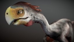 Gigantoraptor giger, creaturedesign, gigantaraptor, gigantoraptor, creature, animal, prehistoric, dinosaur, dino