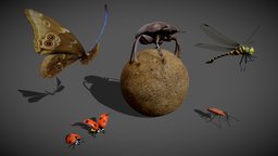 Animated insect pack coccinelle, insect, bug, beetle, dragonfly, pack, butterfly, dung, ladybug, scarab, firebug, insecte, scarabee, invertebrate, insekten, insecta, papillon, blender, animal, animated, rigged, kun-chong, noai, bousier