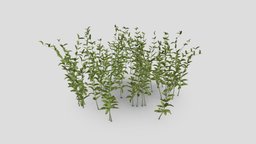 Plant to CleverAI object, tree, grass, bushes, free