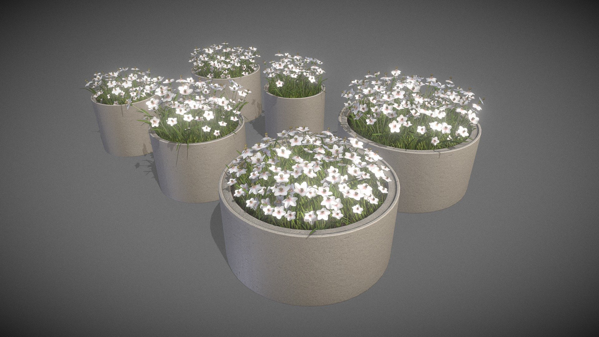 Here are some concrete pipe pots with white flowers.


Parts:



Object Name - Concrete_pot_800mm_White_Flower_1 

Dimensions -  1.014m x 1.001m x 1.110m

Vertices = 4417

Polygons = 2689






Object Name - Concrete_pot_800mm_White_Flower_2 

Dimensions -  0.964m x 1.011m x 0.980m

Vertices = 2946

Polygons = 2094






Object Name - Concrete_pot_1000mm_White_Flower_1 

Dimensions -  1.265m x 1.177m x 1.160m

Vertices = 5576

Polygons = 3279






Object Name - Concrete_pot_1000mm_White_Flower_2 

Dimensions -  1.117m x 1.131m x 1.008m

Vertices = 3904

Polygons = 2628






Object Name - Concrete_pot_1500mm_White_Flower_1 

Dimensions -  1.621m x 1.607m x 1.156m

Vertices = 8889

Polygons = 4838






Object Name - Concrete_pot_1500mm_White_Flower_2 

Dimensions -  1.500m x 1.500m x 1.008m

Edges = 8276

Polygons = 3572



Modeled and textured by 3DHaupt in Blender-2.91