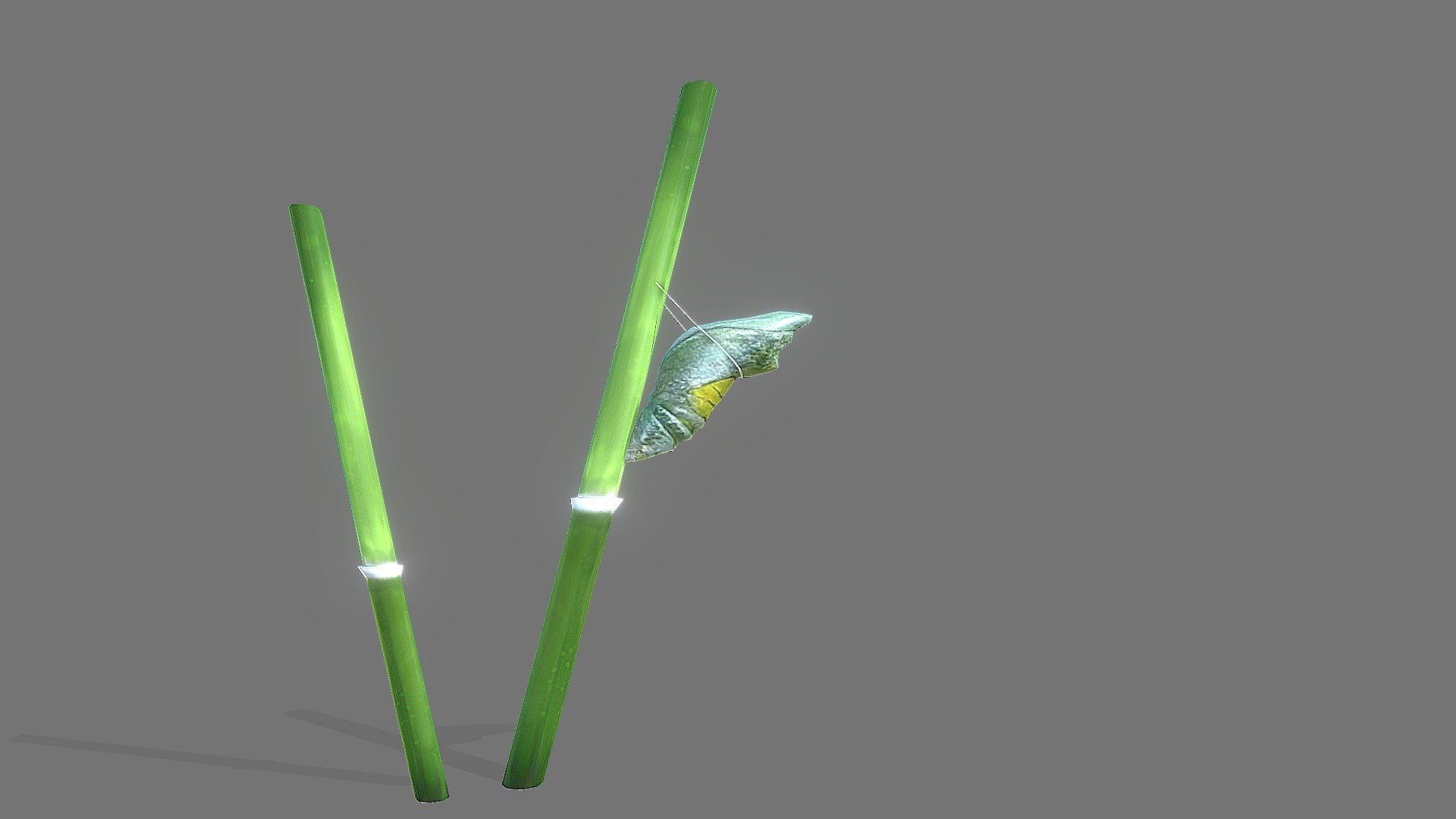 Welcome to the world of butterflies! This is a low poly 3D model of a butterfly and its lifecycle, ready for game, VR, and AR. You can explore the tow stages of metamorphosis: chrysalis, and adult. The model is optimized for performance and realism, with 2,000 polygons and 4K textures. It comes in FBX, OBJ, and GLTF formats.

Butterflies are amazing pollinators and indicators of environmental health. With this model, you can create beautiful and educational scenes that showcase the wonder and diversity of nature.

If you buy this model, you get a Royalty Free license to use it for any project, with credit. You also get free updates and support from me.

Thank you for your interest and support. I hope you like this model and find it useful. Please rate and comment on Sketchfab. You can also check out my other models or follow me on Sketchfab