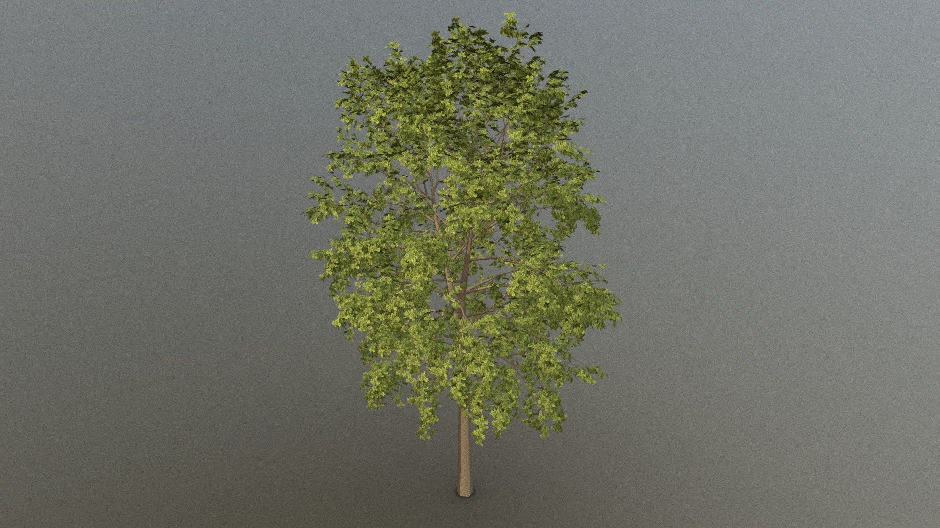 This model is made with blender. It is free to download, you can use it in your projects.