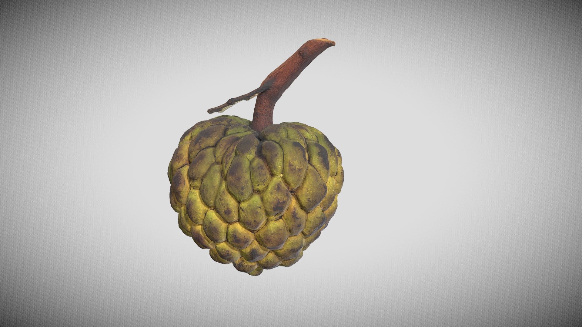 Custard Apple ( Photogrammetry )




Poly : 51432 / Verts : 154296

FBX and OBJ, Material

Unwrap 100%

All textures and materials needed for the rendering found in the archive

Texture resolution 8K

https://www.moonsampler.com/3d-model