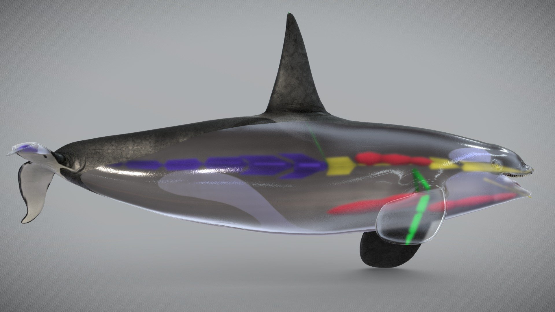 Less bones, easier to keying motion.