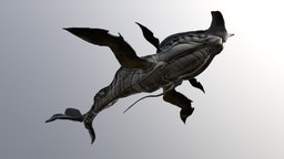 Tulkun - Avatar The Way Of Water ipad, avatar, spider, study, ocean, whale, navi, pandora, akula, neytiri, ronal, kiri, toruk, creature, jamescameron, avatar2, ilu, nomadsculpt, jakesully, thewayofwater, atwow, jimcameron, omatikaya, neteyam, loak, tuktirey, metkayina, tonowari, tsireya, aonung, rotxo, nalutsa, ikran, tulkun