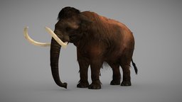 Woolly Mammoth - Rigged elephant, games, animals, mammut, extinct, game-ready, ice-cream, prehistory, iceage, game-asset, mammoth, woolly, wwb, woollymammoth, mammuthus, ice-age, rigged-character, cenozoic, character, asset, game, gameasset, animal, prehistoric, gameready, riggedcharacter, walkingwithbeasts, woolly-mammoth, extinct-animal