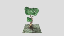 Elvish Mushroom Treehouse tree, mushroom, treehouse, nature, elves, house, suicidal