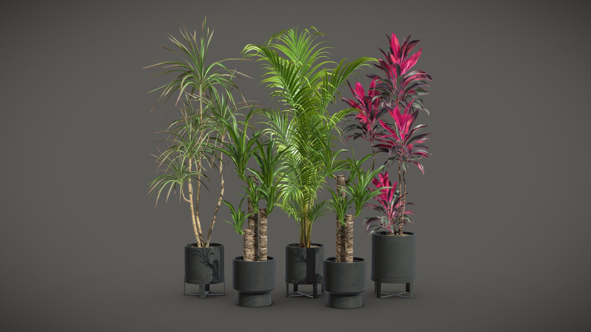 Indoor Plants Pack 51

This selection of indoor exotic plants will provide a level of detail that will take your visualizations to the next level.

Models can be subdivided for more definition.




Dracaena Fragans

Cordyline Fructicosa

Dracaena Marginata

Dypsis Lutescens

4k Textures




Vertices  132 645

Polygons  109 169

Triangles 218 062
