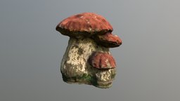 Outdoor decorative mushroom mushroom, mushrooms, outdoor, nature, 3dflow, photogrammetry, decoration, 3df-zephyr, 3dflow-zephyr