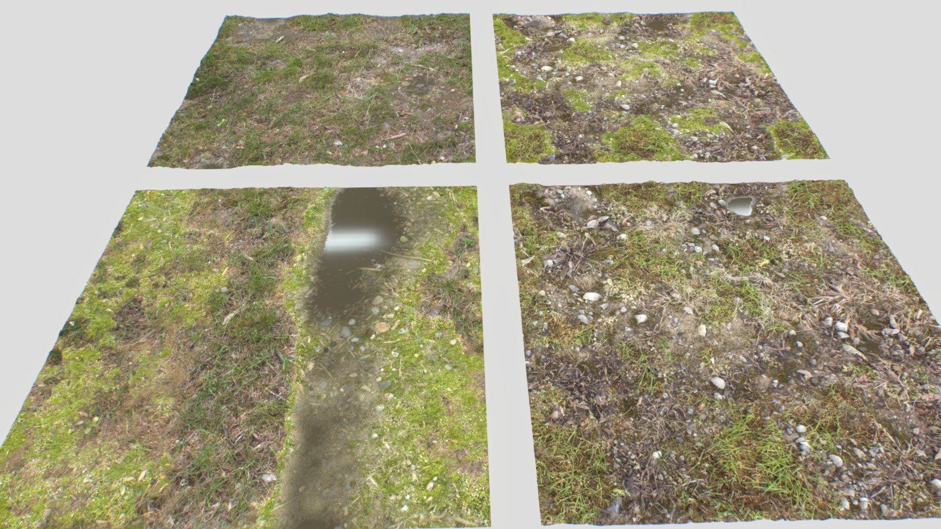 4 different forest ground seamless PBR textures.

4096x4096px size with Albedo, Normal, Displacement, Roughness, Metalness, AO. PNG seamless textures.

Textures consist in a mix of grass textures, rocks, moss, puddles, mud and plants.

All ready for tessellation shaders.

Suitable for forest, fields, tundra, farmlands, gardens, steppes, summer, highland etc&hellip;

https://youtu.be/IZBWJREqyVQ