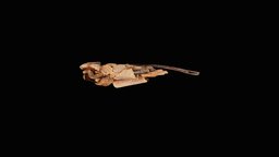 Caddicefly_Limnephilidae insect, micro, nest, macro, nature, insects, larvae, macrophotogrammetry, caddisfly, diversity, architecture, photogrammetry, art, scan, micro_photogrammetry