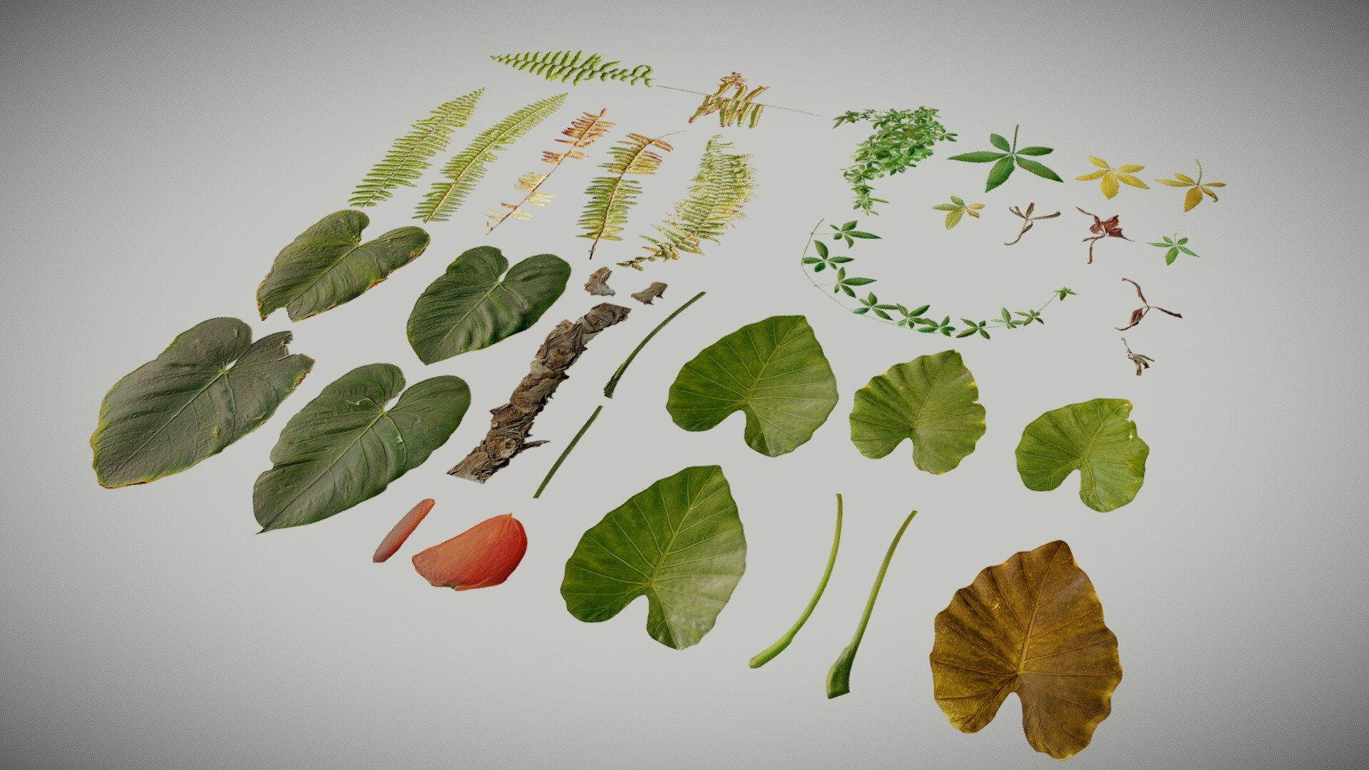 Details

4K textures

4 materials:

-Anthurium

-Elephant  Ear

-Ivy Herb

-Fern

Base Color, Normal, Roughness, Translucency and Opacity

Contact me for any issue or questions https://www.artstation.com/bpaul/profile