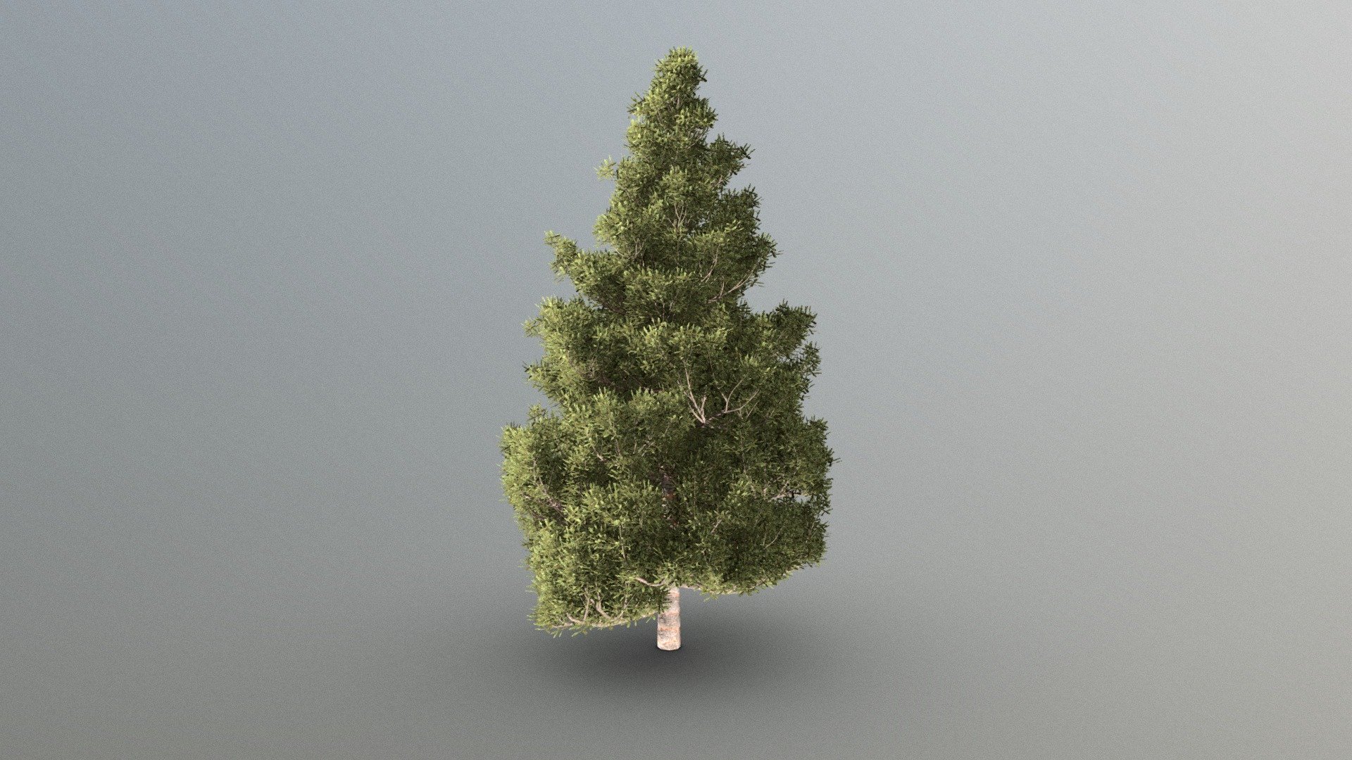 This model is made with blender. It is free to download, you can use it in your projects.