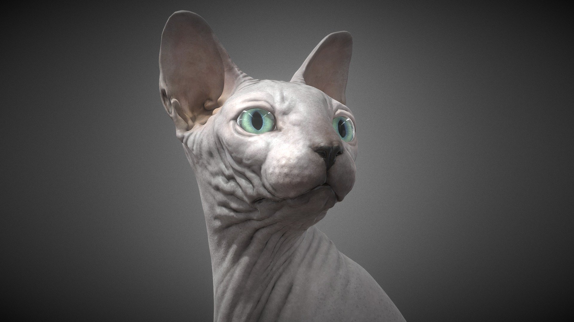It's a Sphynx Cat!