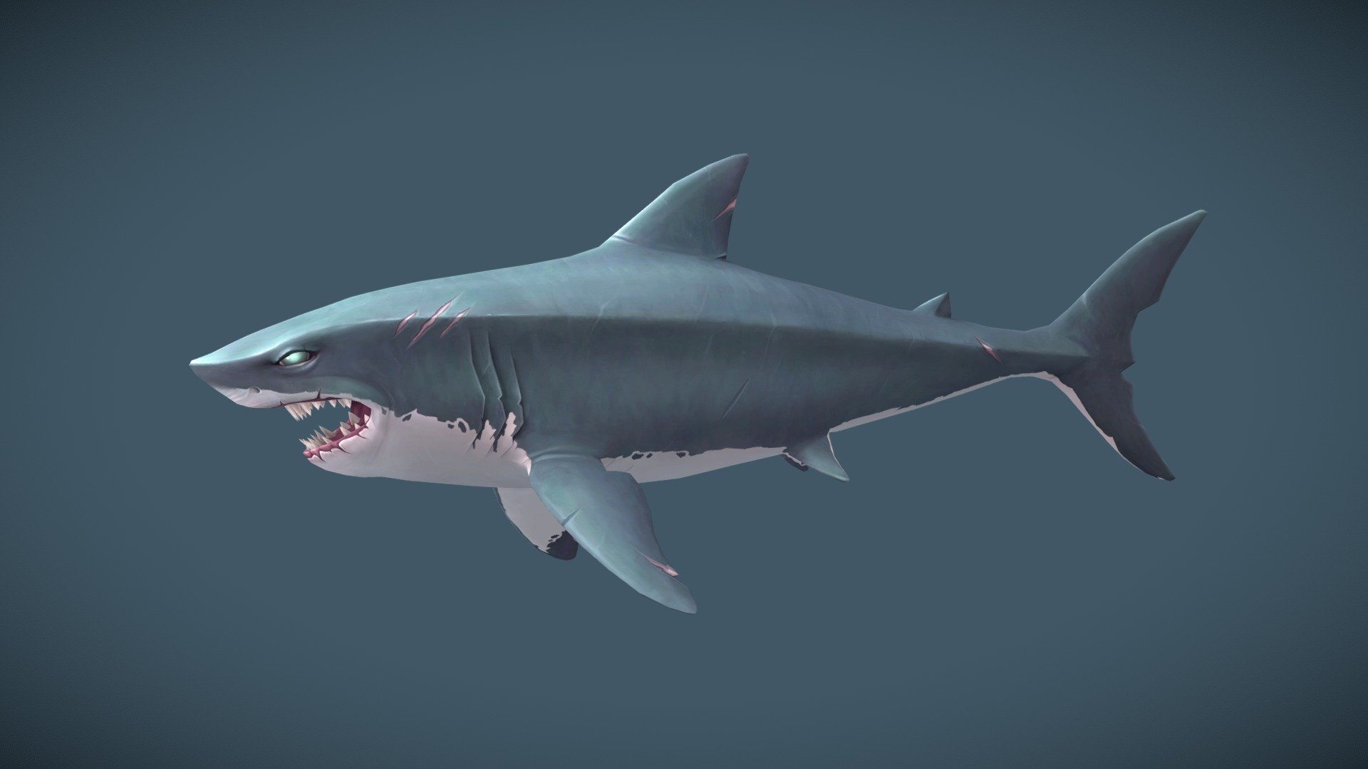 Hello! Here is my shark. It was painted in a mix of substance painter and procreate in hopes to improve my texturing skills further!

I edited and reanimated the shark in blender from a base rig by Jerome Angeles
