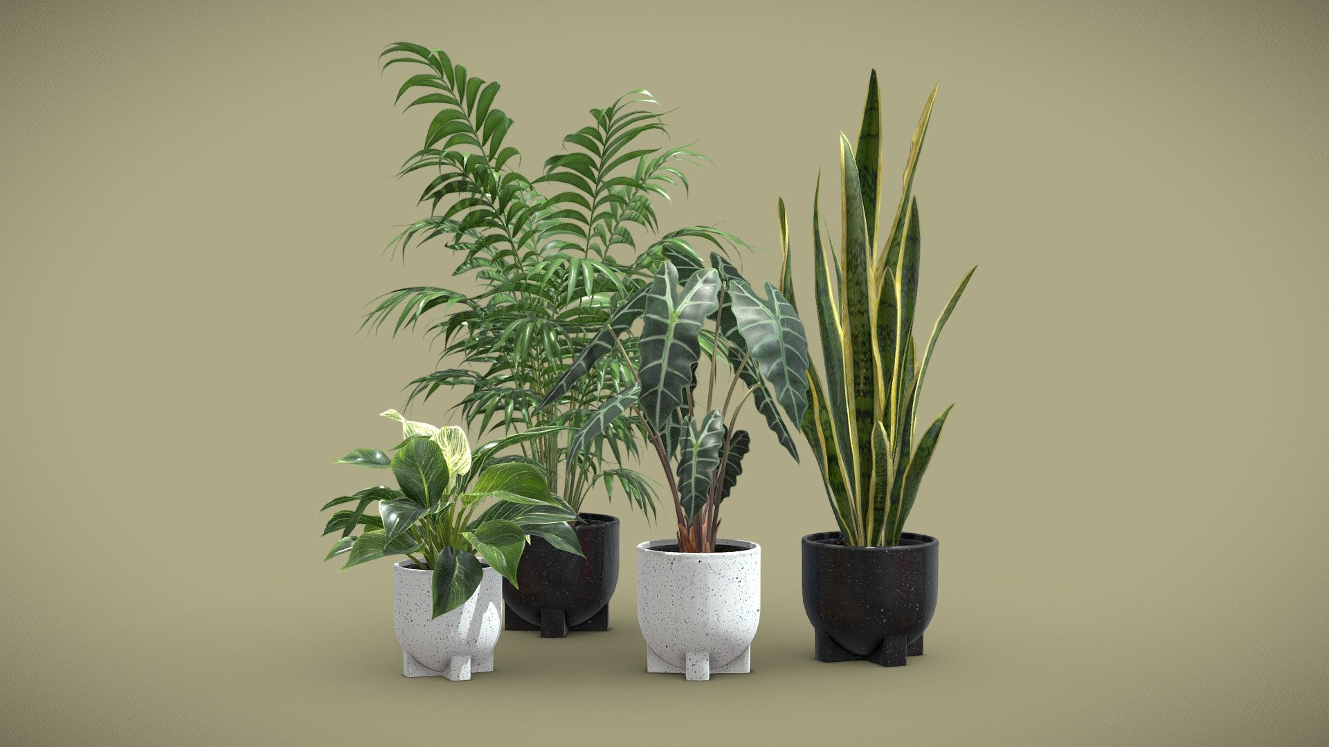 Indoor Plants Pack 55

This selection of indoor exotic plants will provide a level of detail that will take your visualizations to the next level.
Models can be subdivided for more definition.




Alocasia Polly

Philodendron Birkin Variegata

Sansevieria

Chamaedorea Elegans

4k Textures




Vertices  57 779

Polygons  45 915

Triangles 91821
