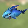 Cute Q shark shark, q, cute