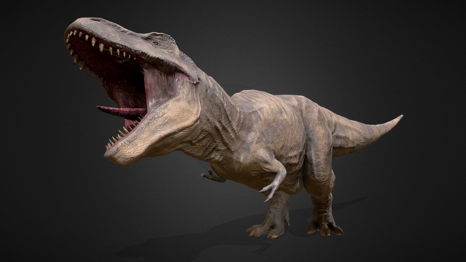 

Tyrannosaurus rex, or T. rex, was a massive carnivorous dinosaur that lived around 68 to 66 million years ago. It was known for its large size, reaching up to 40 feet in length and standing about 15 feet tall at the hips. With its powerful jaws, sharp teeth, and relatively small arms, T. rex was a top predator in its environment, preying on other dinosaurs.

Render Video: https://www.youtube.com/watch?v=mXpVMUqmmfE

File: Maya - Blender - Substance Painter - Zbrush.

OBJ HighPoly File.

Rigged File.

5 Skin Colors: Black, Gray, Red, Green, Yellow.

11 Animations: Idle - Idle 2 - Walk - Sprint - Bite - Bite 2 - Eat - Hunt Idle - Roar - Long Roar - Die.

Lowpoly: 5.392 Verts - 10.380 Tris.

Only 1 material.

Clean Topology.
