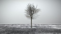 Tilia Tree - 6 Meter -  Winter tree, flora, winter, baum, vegetation, linde, game-ready, blender-3d, vis-all-3d, 3dhaupt, low-poly