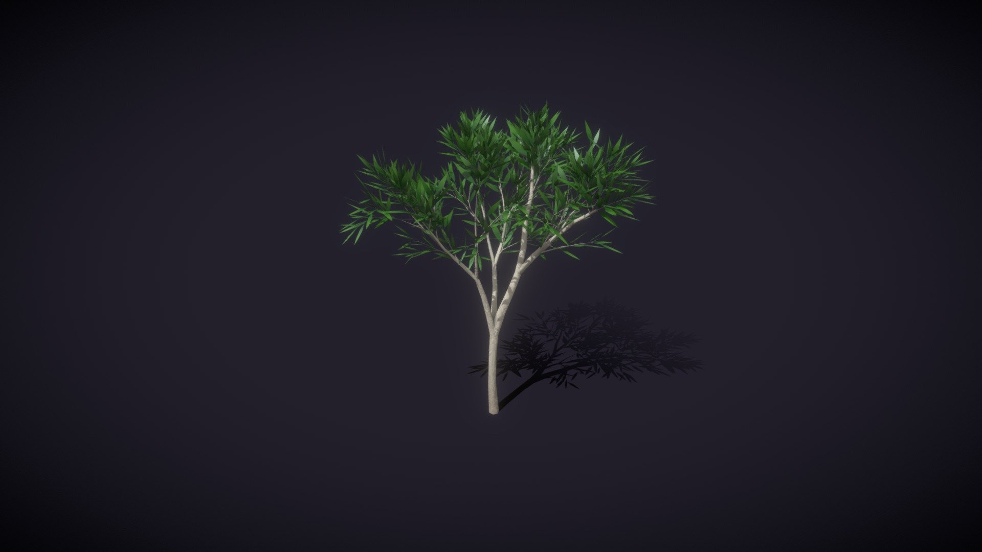 Cartoon Cartoon Eucalyptus Tree 3D Model is completely ready to be used in your games, animations, films, designs etc.



All textures and materials are included and mapped in every format. The model is completely ready for use visualization in any 3d software and engine.



Technical details:







File formats included in the package are: FBX, OBJ, ABC, DAE, GLB, PLY, STL, BLEND, gLTF (generated), USDZ (generated)

Native software file format: BLEND

Render engine: Eevee

Polygons: 6,586

Vertices: 12,150

Textures: Color, Metallic, Roughness, Normal, AO.

All textures are 2k resolution.


You can purchase the model on Superhive: https://superhivemarket.com/products/cartoon-cartoon-eucalyptus-tree-3d-model