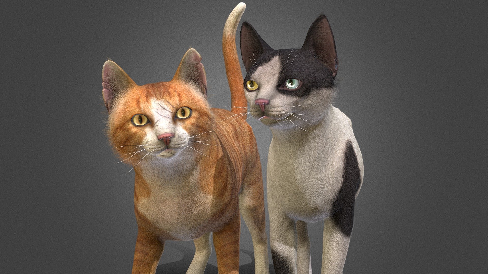 Stray cat models with 100+ IP/PM animations, 2 geometry options and 10 color options.

All colors and animations can be viewed at the links below:
https://sketchfab.com/3d-models/skinny-cats-dfb910f3d6d54251bd1fc775c5a0829d
https://sketchfab.com/3d-models/stray-cats-800d6a6739464266bb5ce0000ad81423
https://sketchfab.com/3d-models/cat-stray-fe3b23bbd56945c5ac170fe861f7fad1

In the attached archive you will find all files with animations. 

If you have any questions, please email me.