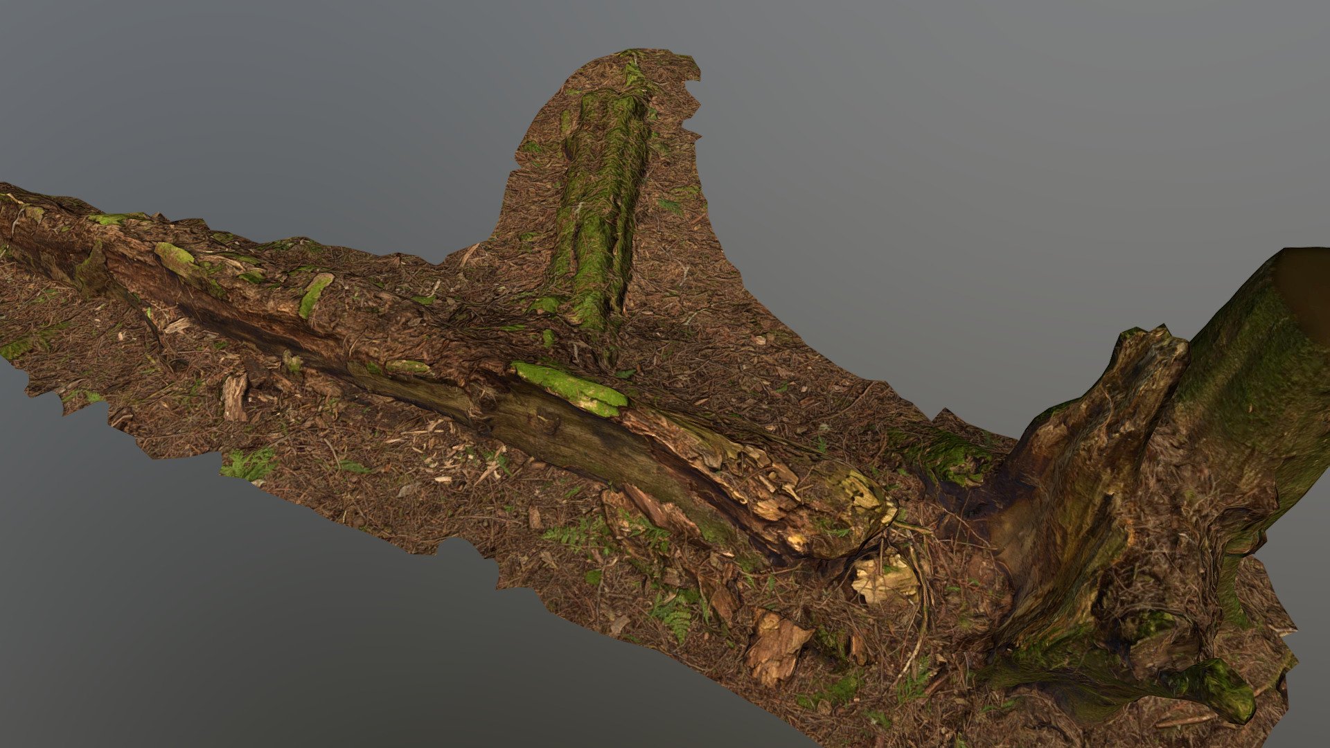 Captured with Nikon 3500. Processed in Reality Capture. Lopoly created in 3Ds Max using the new retopo plugin. De-Lit in Agisoft De-Lighter, Maps baked out in Substance Designer, and touched up in Substance Painter.