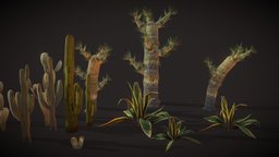 American Desert Plants Pack plant, plants, textures, desert, cacti, wuste, game, lowpoly, steel