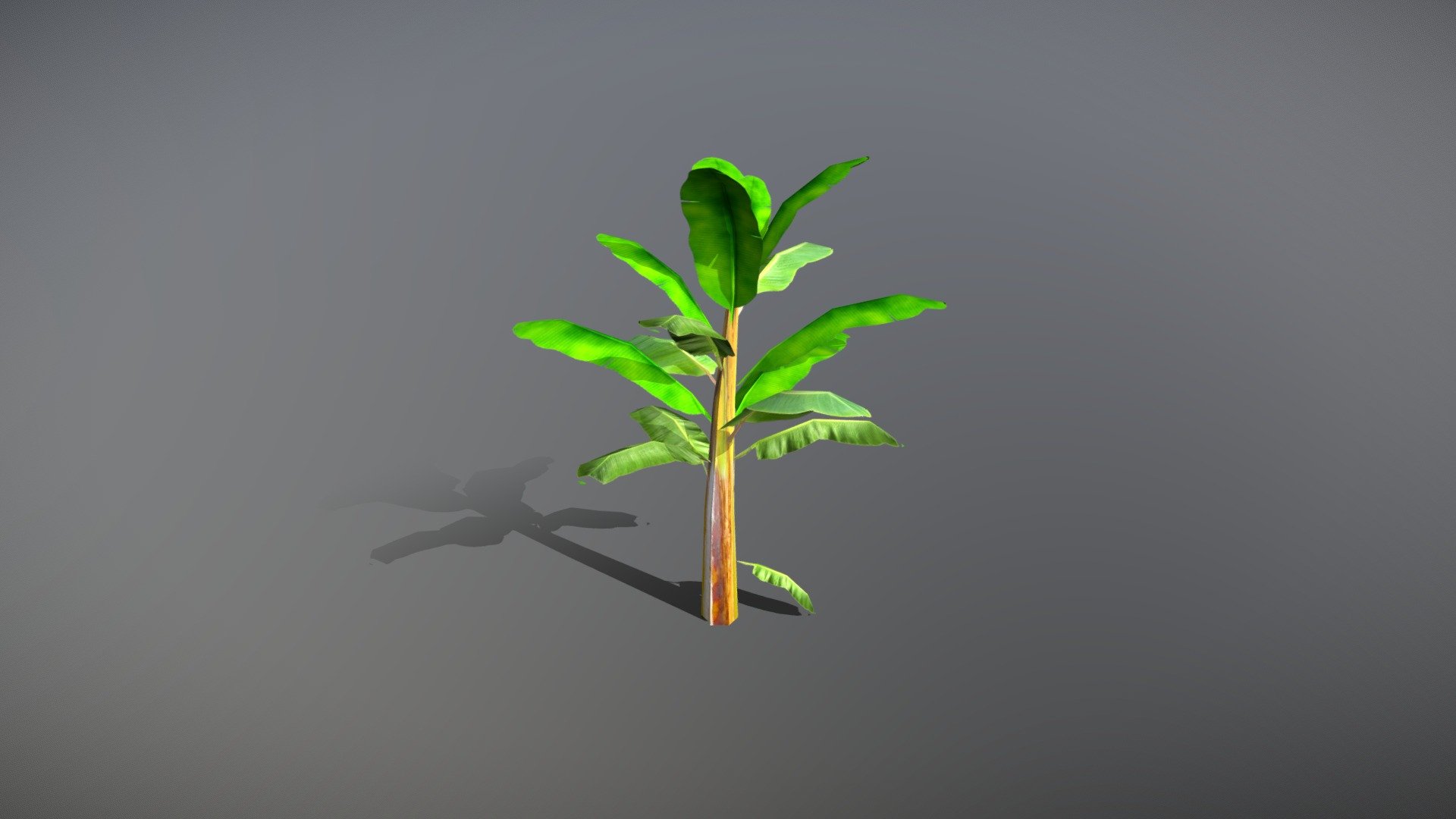 Banana Tree optimized for mobile game. Size of the complete model with texture is 150KB.