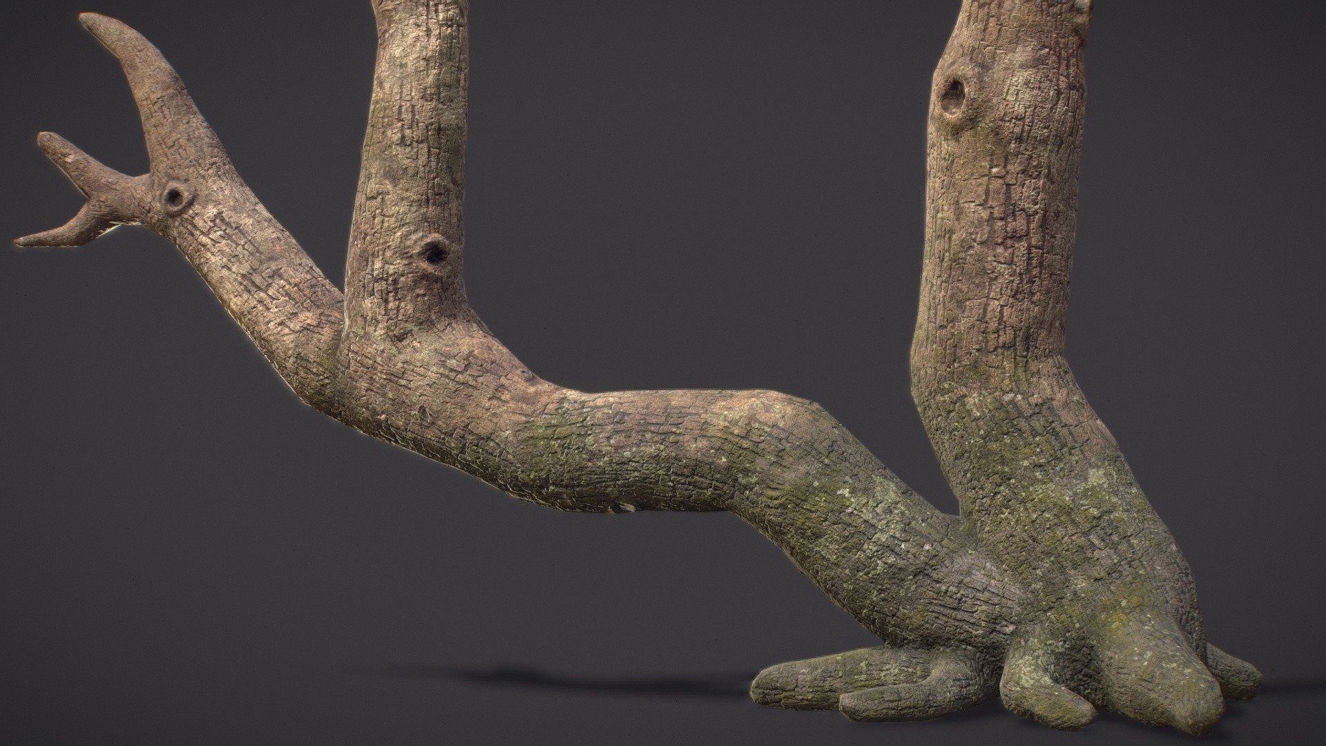 Small dead tree game asset I created to practice creating trees in ZBrush, Retopology using quad draw, Uvs in Maya and Marmoset/Substance 3D Painter baking and texturing, I'm planning to do more foliage and trees in my next personal projects.
Poly count is 4646 Triangles and texture are in 4096x4096.
https://www.artstation.com/artwork/Qn5REE