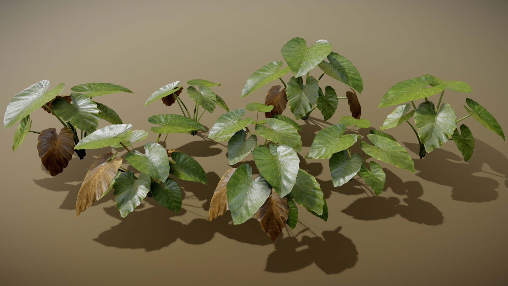 This package contains 8 variations. 4 variations with low geometry and 4 with an extra material and 3D branches.

Details

Game Ready asset

LODs

Textures are 4K resolution (albedo .tif with alpha channel)

8 variations

Maps Sample: https://imgur.com/Zr7m7Vi

If you need more information about how my LODs works visit my instagram account! https://www.instagram.com/p/BxbIK8tBWzZ/

Contact me for any issue or questions! https://www.artstation.com/bpaul/profile