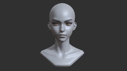 Stylized Anime Female Head face, anatomy, head, female, stylized, practice, noai