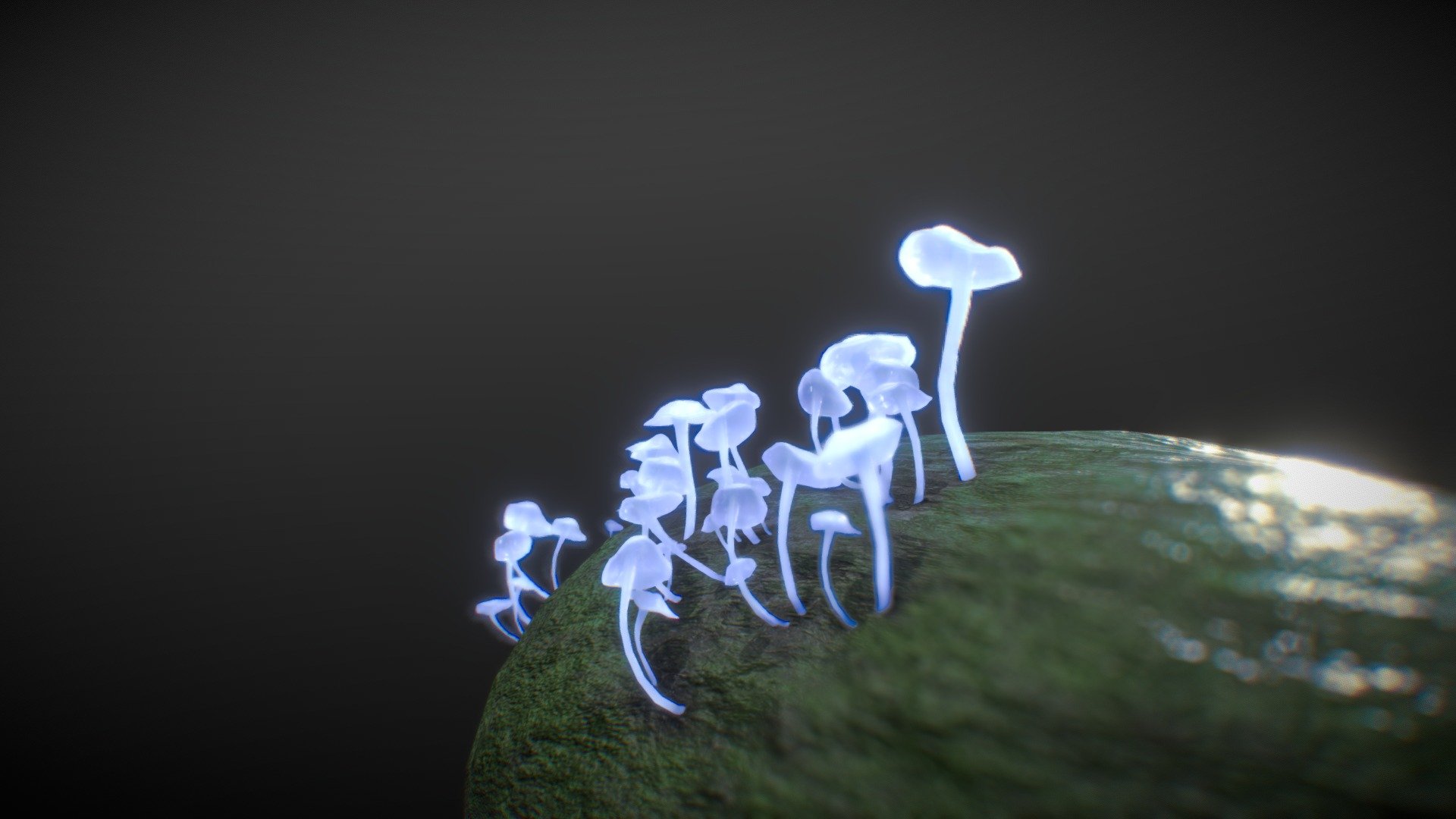 Entry for mushroom challenge