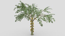 Cacao Tree( Yellow Fruit)- 06 cacao-tree, 3d-cacaotree, lowpoly-cacao, 3d-lowpoly-cacao, cocoatree
