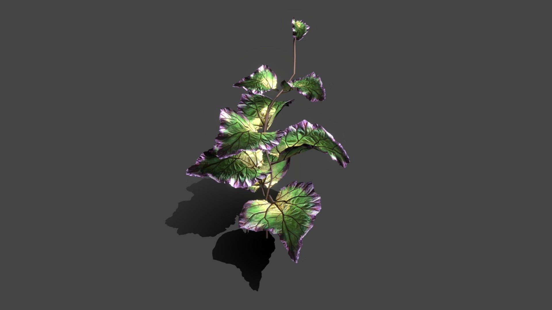 Low-poly Tropical plant. Created with 3Ds max2018. Export in FBX. Model have diffuse, opacity, normal texture maps