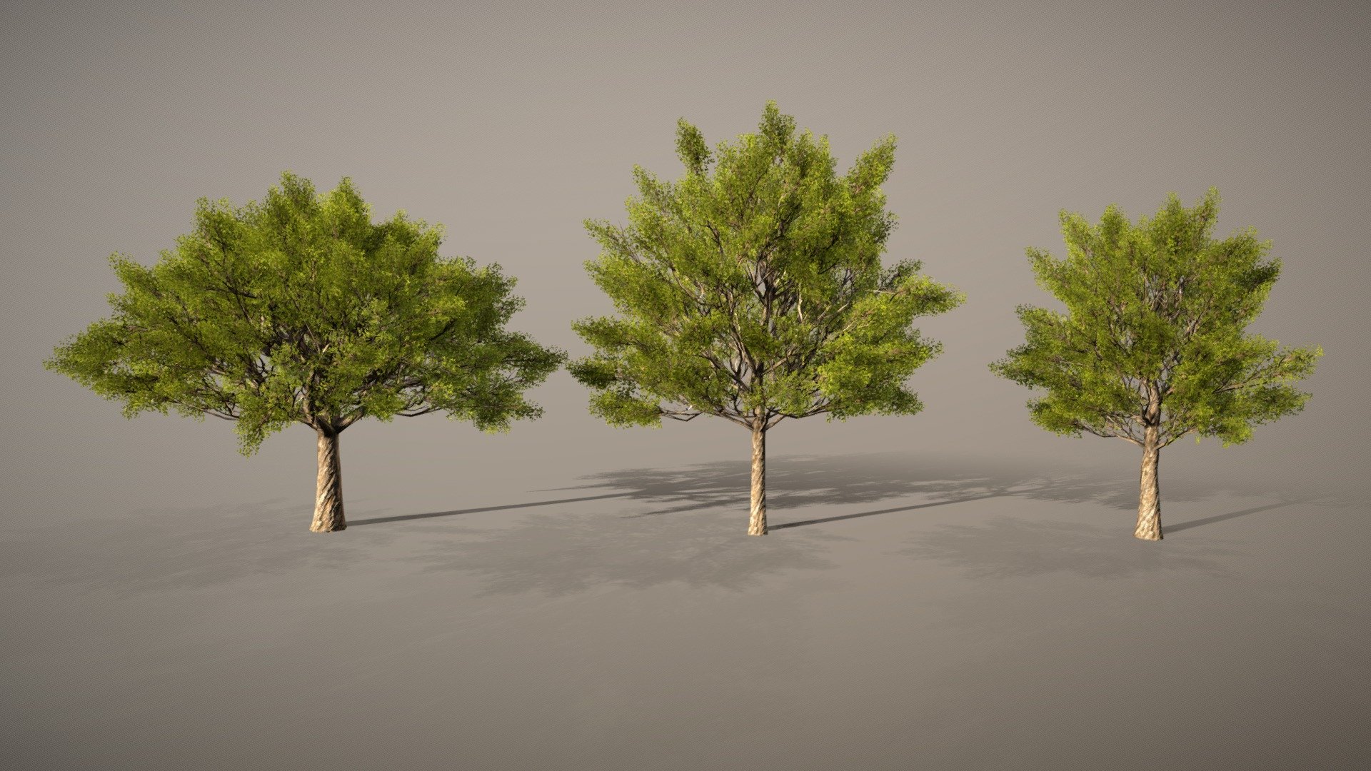 low poly tree created in Speedtree