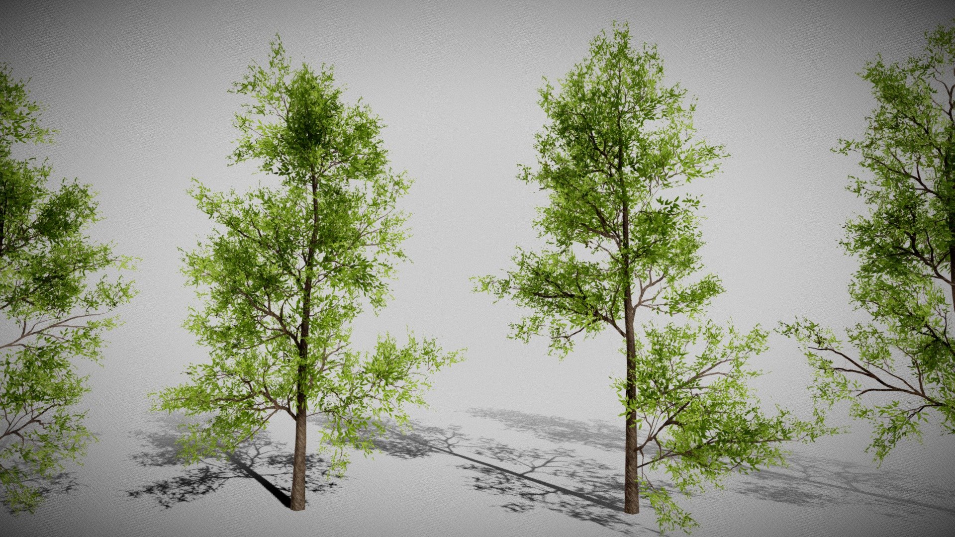Introducing a versatile 3D Tree Model Pack with various variations for diverse landscapes. Features high-quality 4K textures, optimized for efficiency with a poly count under 2000.






FBX files included for seamless integration. 

Single Material is Used for Optimization

Elevate your projects with realistic and performance-driven trees.


Thank You!