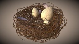 Bird Nest bird, nest, egg, chicken, habitat, feathers, wildlife, 3d, blender, geometrynodes