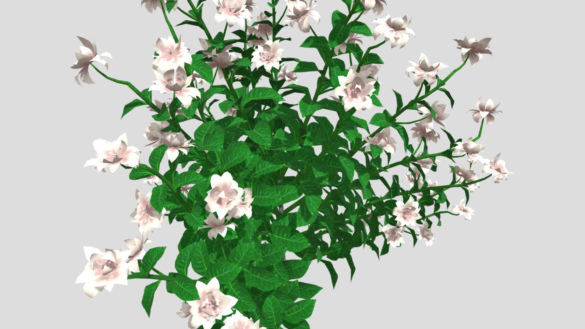 Gardenia Flower 3d model, File formats in the attached folder: 3ds, c4d, obj, stl.