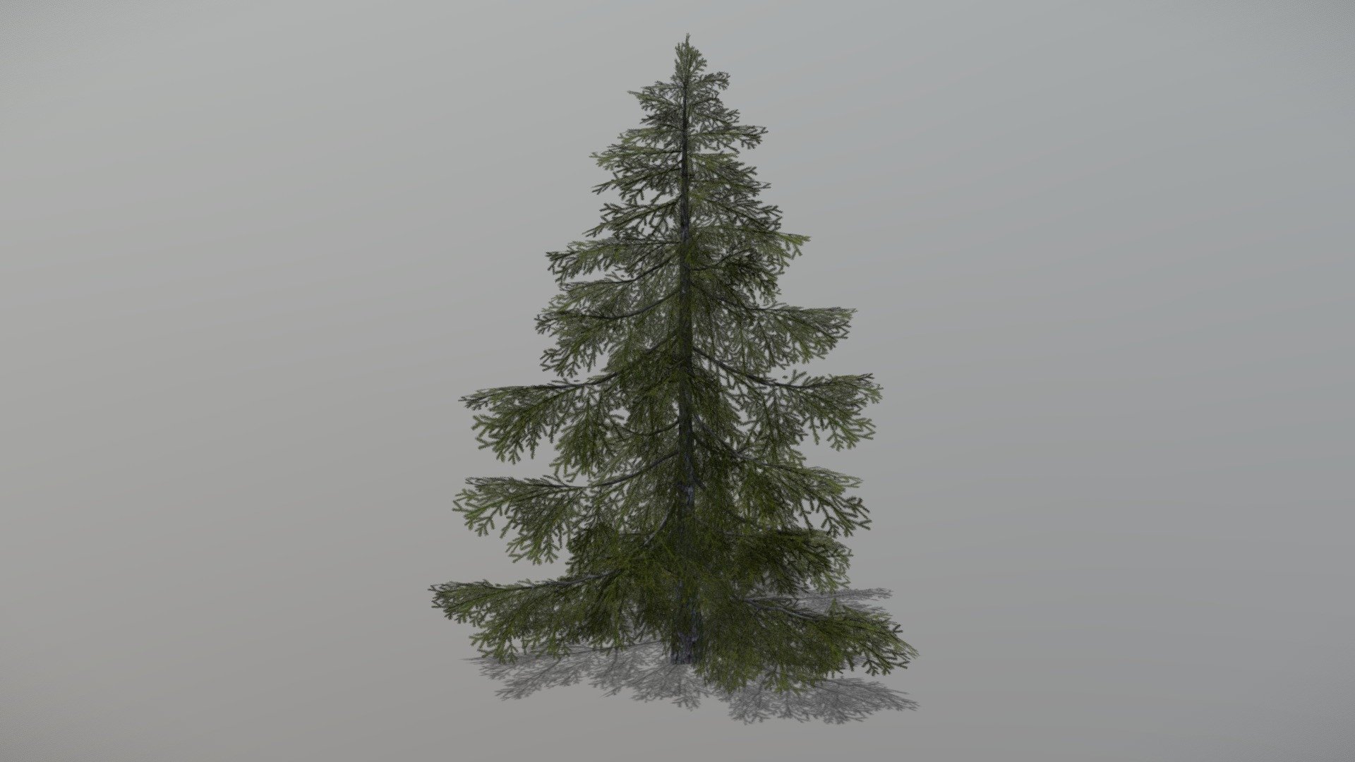 Animated Spruce tree + FBX LOD Model

• LOD0 = 4,589 Tris

• LOD1 = 2,293 Tris

• LOD2 = 1,776 Tris
