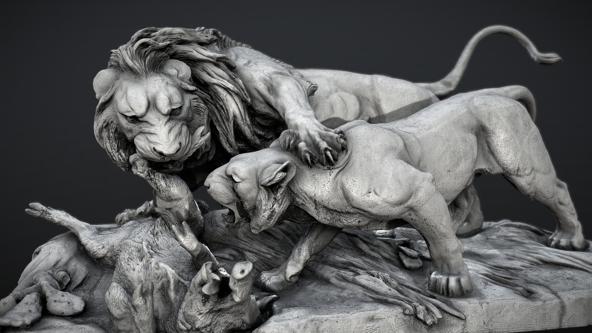 Another amazing lion sculpture from central Copenhagen. 

The sculpture is originally modeled by Auguste Nicholas Caïn (1821 – 1894).
Cain, the son of a butcher, was a highly regarded animal sculptor who modeled large-scale works for public locations in Paris, such as the Luxembourg Gardens, the Tuileries Gardens, and the city hall. 

The sculpture was created in 1879 and the copy was installed at Jarmers Plads, Copenhagen in 1889 as a gift from Carl Jacobsen's Albertina Foundation.

