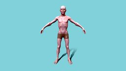 Stylized Slave Man Anatomy Game Model body, anatomy, hot, , slave, cartoon, free, stylized