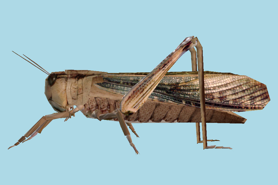 Grasshopper 3d model